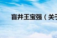 盲井王寶強（關于盲井王寶強的介紹）