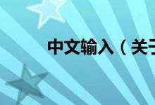 中文輸入（關(guān)于中文輸入的介紹）