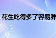 花生吃得多了容易胖嗎（花生吃多了會胖嗎）
