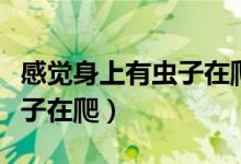 感覺身上有蟲子在爬怎么解決（感覺身上有蟲子在爬）