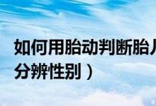 如何用胎動判斷胎兒性別（如何根據(jù)孕婦胎動分辨性別）
