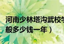 河南少林塔溝武校學(xué)費（少林塔溝武校學(xué)費一般多少錢一年）