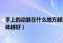 手上的動脈在什么地方越清楚越好（手上的動脈在哪里越具體越好）