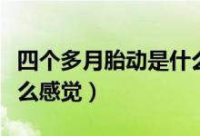 四個多月胎動是什么樣的（四個多月胎動是什么感覺）