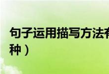 句子運用描寫方法有哪幾種（描寫方法有哪幾種）