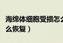 海綿體細(xì)胞受損怎么消除（海綿體細(xì)胞受損怎么恢復(fù)）