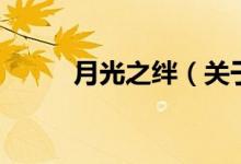 月光之絆（關于月光之絆的介紹）