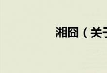 湘囧（關于湘囧的介紹）