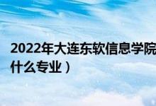 2022年大連東軟信息學院在廣東招生計劃及招生人數(shù)（都招什么專業(yè)）