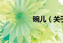 碗兒（關(guān)于碗兒的介紹）