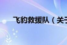 飛豹救援隊(duì)（關(guān)于飛豹救援隊(duì)的介紹）
