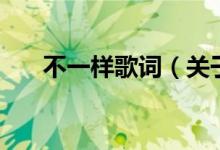 不一樣歌詞（關于不一樣歌詞的介紹）
