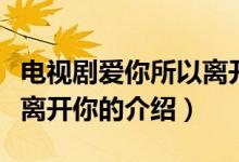 電視劇愛你所以離開你（關(guān)于電視劇愛你所以離開你的介紹）