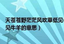 天蒼蒼野茫茫風(fēng)吹草低見(jiàn)牛羊原文（天蒼蒼野茫茫風(fēng)吹草低見(jiàn)牛羊的意思）