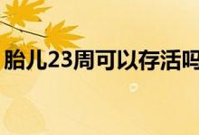 胎兒23周可以存活嗎(胎兒多少周可以存活)