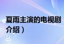 夏雨主演的電視?。P(guān)于夏雨主演的電視劇的介紹）