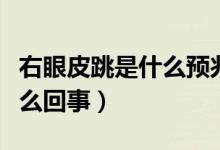右眼皮跳是什么預(yù)兆是吉是兇（右眼皮跳是什么回事）