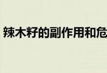 辣木籽的副作用和危害（辣木籽多少錢一斤）