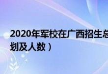 2020年軍校在廣西招生總?cè)藬?shù)（2022各軍校在廣西招生計劃及人數(shù)）