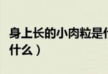 身上長的小肉粒是什么樣（身上長的小肉粒是什么）