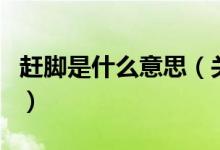 趕腳是什么意思（關(guān)于趕腳是什么意思的介紹）