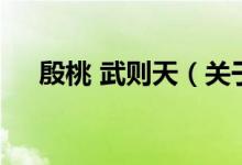 殷桃 武則天（關于殷桃 武則天的介紹）