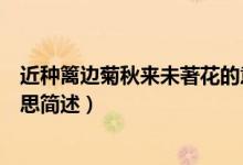近種籬邊菊秋來(lái)未著花的意思（近種籬邊菊秋來(lái)未著花的意思簡(jiǎn)述）