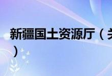 新疆國(guó)土資源廳（關(guān)于新疆國(guó)土資源廳的介紹）