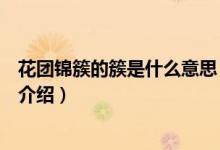 花團錦簇的簇是什么意思（關(guān)于花團錦簇的簇是什么意思的介紹）