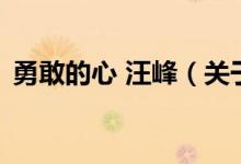 勇敢的心 汪峰（關(guān)于勇敢的心 汪峰的介紹）