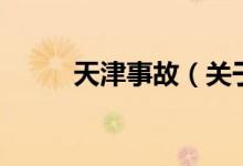 天津事故（關(guān)于天津事故的介紹）