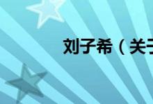 劉子希（關(guān)于劉子希的介紹）