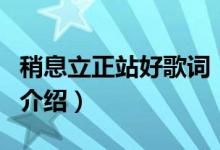 稍息立正站好歌詞（關于稍息立正站好歌詞的介紹）