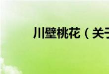 川壁桃花（關于川壁桃花的介紹）