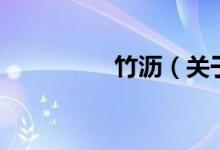 竹瀝（關(guān)于竹瀝的介紹）