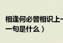 相逢何必曾相識上一句話（相逢何必曾相識上一句是什么）