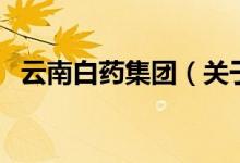 云南白藥集團（關(guān)于云南白藥集團的介紹）