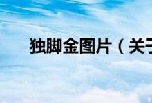 獨腳金圖片（關于獨腳金圖片的介紹）
