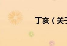 丁亥（關(guān)于丁亥的介紹）
