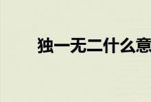 獨一無二什么意思（獨一無二出處）