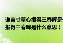 誰言寸草心報得三春暉是什么意思酷知經(jīng)驗網(wǎng)（誰言寸草心報得三春暉是什么意思）