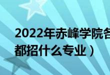 2022年赤峰學院各省招生計劃及招生人數（都招什么專業(yè)）