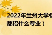 2022年蘭州大學各省招生計劃及招生人數(shù)（都招什么專業(yè)）