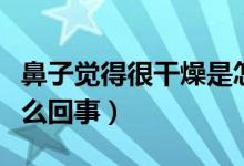 鼻子覺得很干燥是怎么回事(鼻子特別干燥怎么回事)