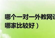 哪個(gè)一對一外教網(wǎng)課好（英語外教網(wǎng)課一對一哪家比較好）
