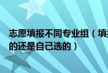 志愿填報不同專業(yè)組（填報志愿時專業(yè)組里的專業(yè)是學校定的還是自己選的）