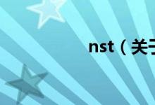 nst（關(guān)于nst的介紹）