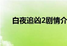 白夜追兇2劇情介紹（白夜追兇2簡(jiǎn)介）
