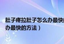 肚子疼拉肚子怎么辦最快的方法小妙招（肚子疼拉肚子怎么辦最快的方法）