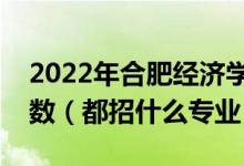 2022年合肥經(jīng)濟學(xué)院各省招生計劃及招生人數(shù)（都招什么專業(yè)）